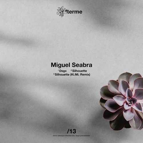 Miguel Seabra - 13 - Miguel Seabra, Ki.Mi. [DAM13]